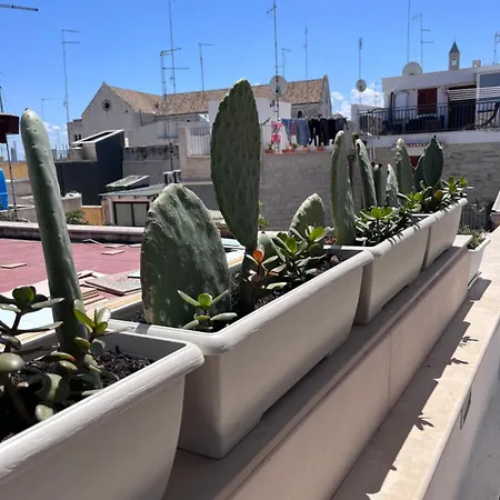 Casa Franca - Terracielo A Vecchia Σπίτι διακοπών
