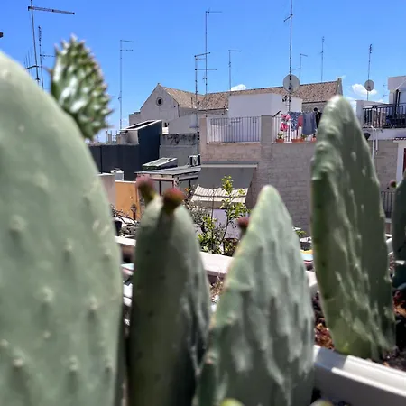 Casa Franca - Terracielo A Vecchia 度假居 巴里